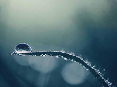 Preview of voucher design 